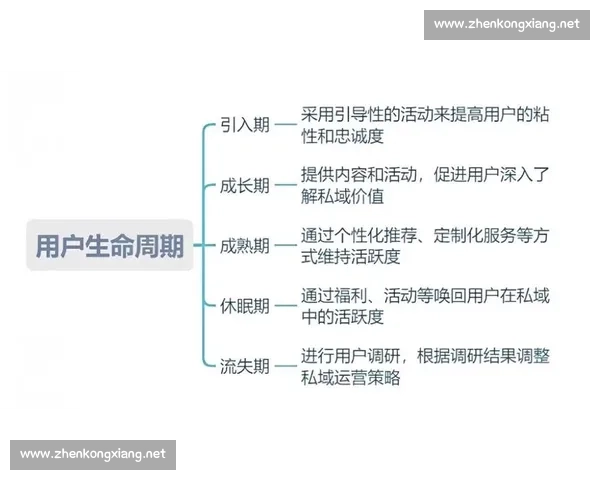 战队运营全流程策略解析与成长体系构建方案